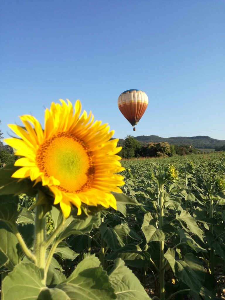 Dove dormire, volo in mongolfiera a Roma